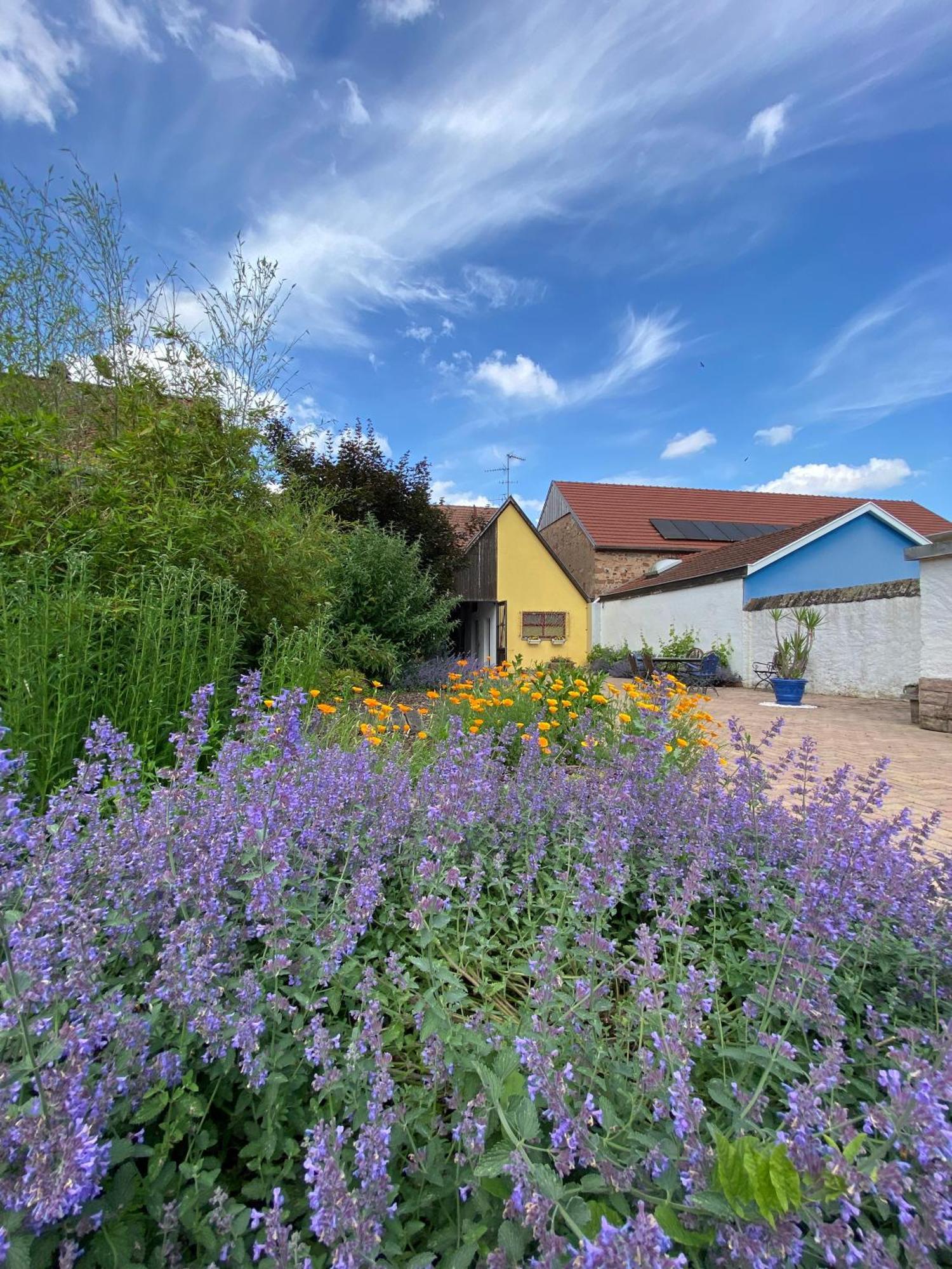 Relais Du Dompeter Bed & Breakfast Molsheim Exterior photo